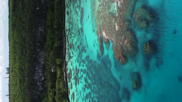 Aerial view of pristine water and coral reefs, on the coast of Maré island, New Caledonia - vertical format
