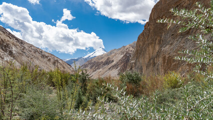The Markha Valley in Ladakh, India