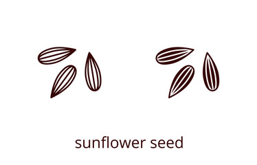 Sunflower seeds icon, line editable stroke and silhouette