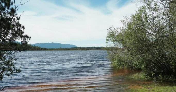 The Kirchsee south of Munich in the area of Sachsenkam nearby the Kloster Reutberg monastery. Light breeze and waves on the bog waters flooding the beach