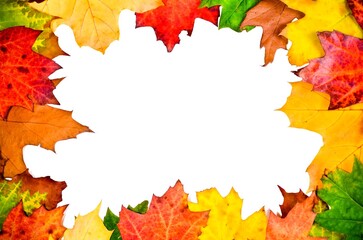 Artful colorful autumn background. Frame with colored leaves on a white copy space.