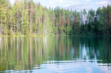 Reflection of trees in the lake with blue sky and white clouds. Reflection of trees in the water. Abstract natural background for design.