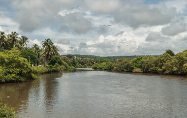 Baga river in Goa, flowing in the area of the same name Baga.
