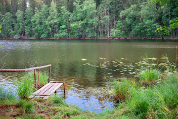 Wooden bench on the lake in the forest at summer day. Wooden bridge over the lake in the forest with green grass.