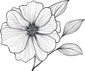 This is a realistic line drawing of a flower in vector format. The flower is drawn with thin, delicate lines that capture the beauty and detail of the petals. The file is high-quality and can be scale