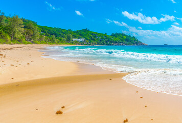 Anse Intendance beach on a sunny day
