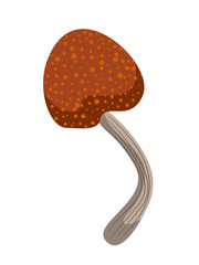 A fabulous cartoon forest mushroom with a speckled brown cap.
