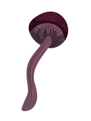 Fabulous magical forest burgundy mushroom with stripes on the cap.