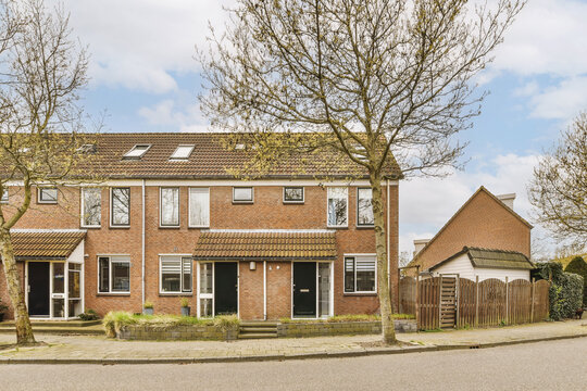 Trees growing on street in front of house