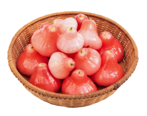 Rose Apple or Syzygium jambos fruits on transparent background.