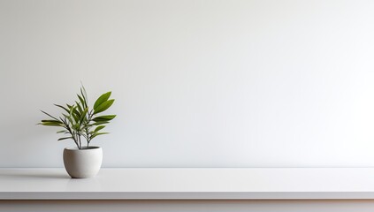 Universal minimalistic background for product presentation. White empty shelf with a flower on a light gray wall.