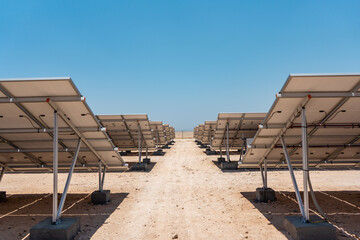 solar panel plant