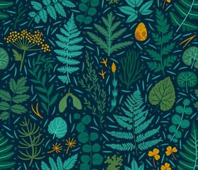 Vector seamless pattern with fern leaf, equisetum, clover leaves and forest plant. Beautiful botanical repeated texture. Floral background with leaves, branches, flowers and seeds. Natural backdrop.