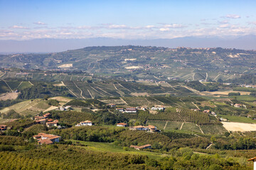 View of the Langhe-Roero hills and vineyards from Diano d'Alba in Piedmont. Italy