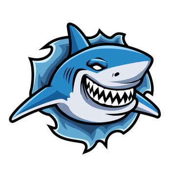 Great Shark smile ripping illustration