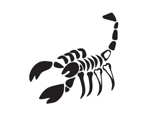 Scorpio skeleton, scorpio bones. Modern, Creative, fantasy vector flat design image illustration 