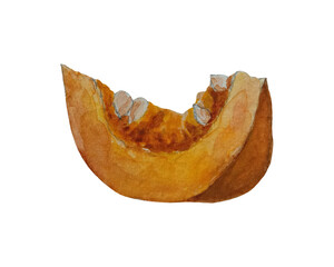 Watercolor Illustration set of pumpkin in different shape and color. Thanksgiving background, textiles, banners, wallpapers, wrapping