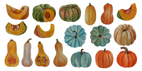 Watercolor Illustration set of pumpkin in different shape and color. Thanksgiving background, textiles, banners, wallpapers, wrapping
