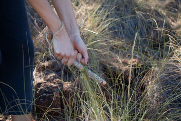 harvesting grass hand female