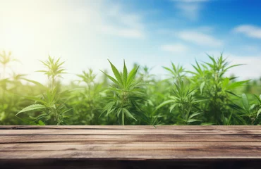 Fotobehang Empty wooden table with cannabis plants background. Table with vegetables on top. Table top product display showcase stage. Image ready for montage your text or product.  © Victor