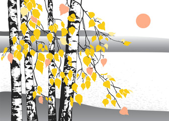 .Autumn landscape. River bank, sun and birch with yellow foliage. Vector background (card, panel). Nature  illustration.
