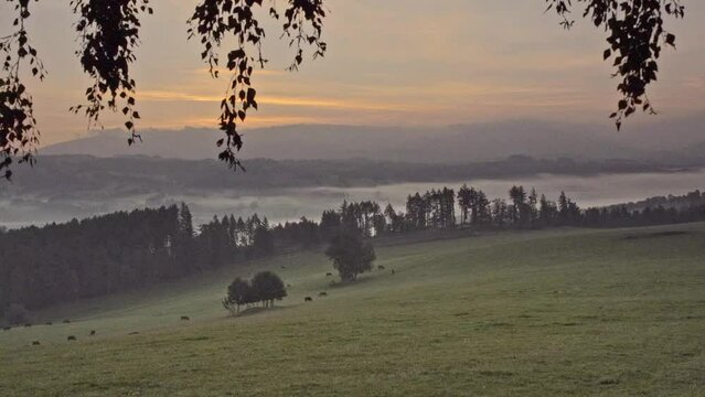 Sonnenaufgang: Faszinierende, beeindruckende Landschaft im Gebirge. Der Blick gleitet &uuml;ber T&auml;ler, Berge am Horizont, Wiesen mit K&uuml;hen und ihren K&auml;lbern. Langsam l&ouml;st sich der Nebel in den T&auml;lern auf.