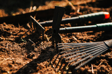 set of garden tools on the ground