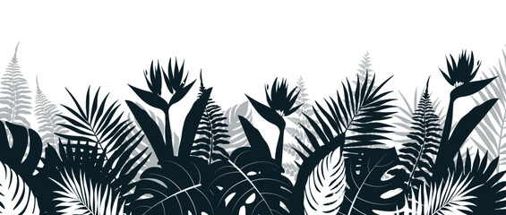 Background with silhouettes of tropical plants in cartoon style. Vector illustration of background with silhouettes of tropical plants: monstera, palm leaves, strelitzia, banana leaves and fern.