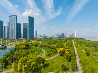 Wuhan River Beach and Yangtze River Bridge scenery
