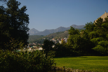 landscape with mountains and trees