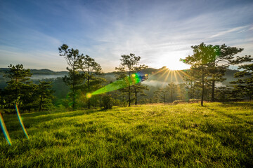The sun shines brightly on the pine hills in Da Lat 