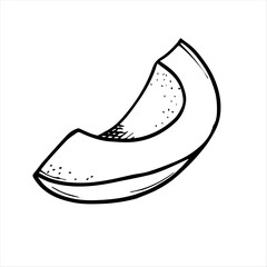 Graphic drawing of a ripe avocado. Vecor. Green avocado fruits, healthy nutritious natural food and hand drawing of avocado slices. Green avocado, tropical vegan food, exotic healthy cuisine.