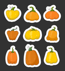 Pumpkin vegetable. Sticker Bookmark. Thanksgiving and Halloween elements. Farm harvest. Vector drawing. Collection of design elements.