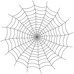 Obraz premium Spider web vector