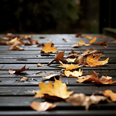 Autumn leaves falling
