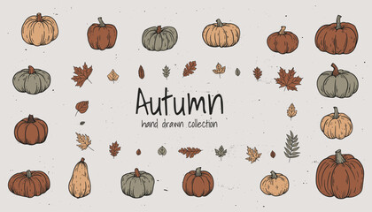 Vintage Thanksgiving collection of hand drawn sketches, cute pumpkins, oak leaves, and gourds. Ideal for autumn decor and retro autumn design, essence of the season. Not AI