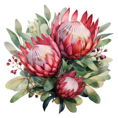 Tropical pink protea flower and leaf. Watercolor illustration. Generative AI - obrazy, fototapety, plakaty