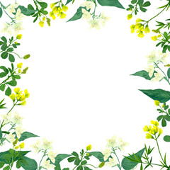 Fototapeta na wymiar square frame of garden flowers on white background