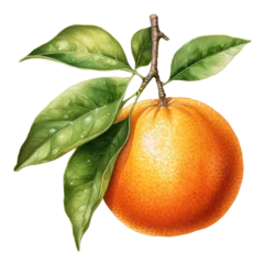 Foto op Plexiglas Watercolor orange fruit. Illustrartion of citrus with leaves. AI Generative  © OlyGutArt