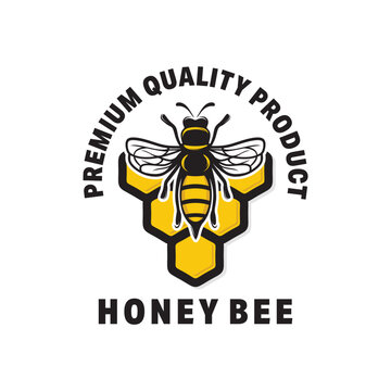 Honey bee graphic design template vector illustration