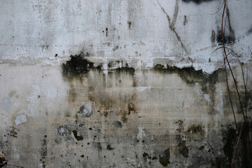 old wall background