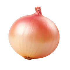 onion on transparent background 