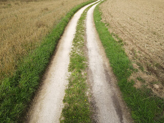 Fototapeta na wymiar Country road between fields in the landscape 