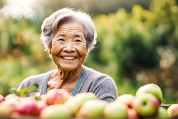 Fotobehang Elderly asian woman harvesting apples © cobaltstock