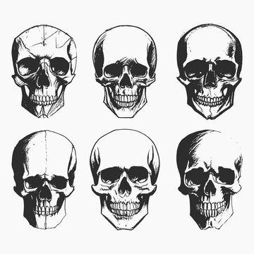 Set of hand drawn skulls