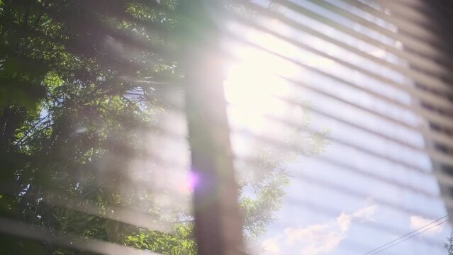 Sun shining through window blinds close. Slow motion shot