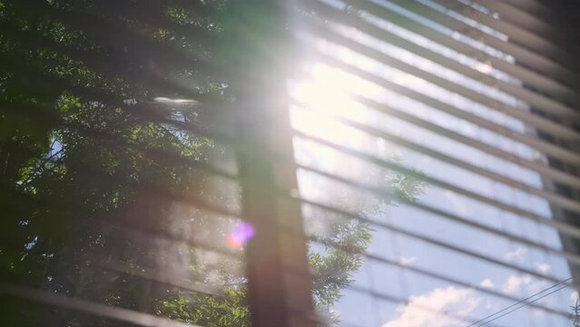Sun shining through window blinds close. Slow motion