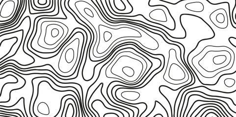 Topographic Background. Gray and White Abstract Background with Wavy Lines. Black and White Pattern of Lines and Curves. Topographic Topography