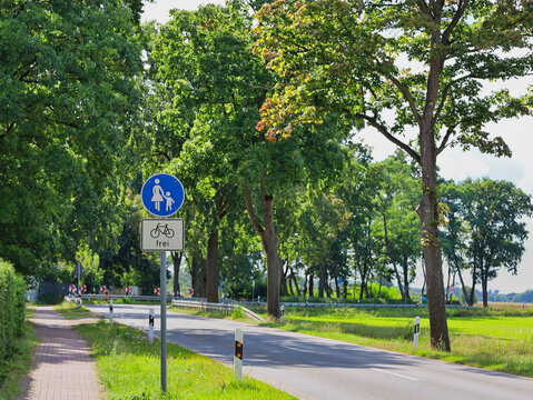 Gehweg mit blauem Verkehrszeichen f&uuml;r Fu&szlig;g&auml;nger und Zusatzschild Rad frei an einer Landstra&szlig;e zwischen Sch&ouml;newalde und Gorinsee in Wandlitz, Barnim, Brandenburg, Deutschland