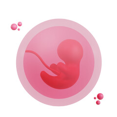 Embryo 3D Icon